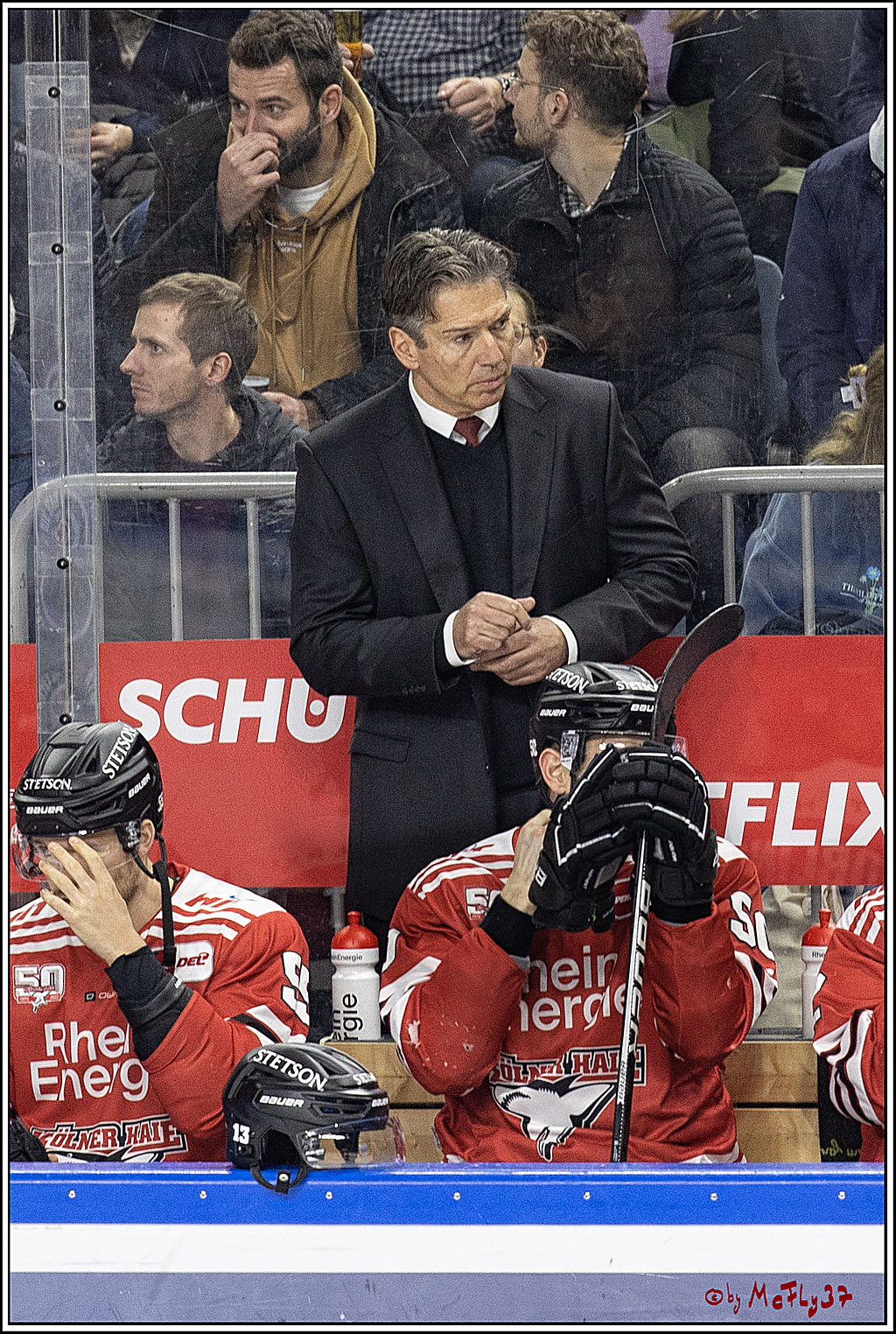 PENNY DEL;  Koelner Haie - Duesseldorfer EG; Koeln, 02.01.2023